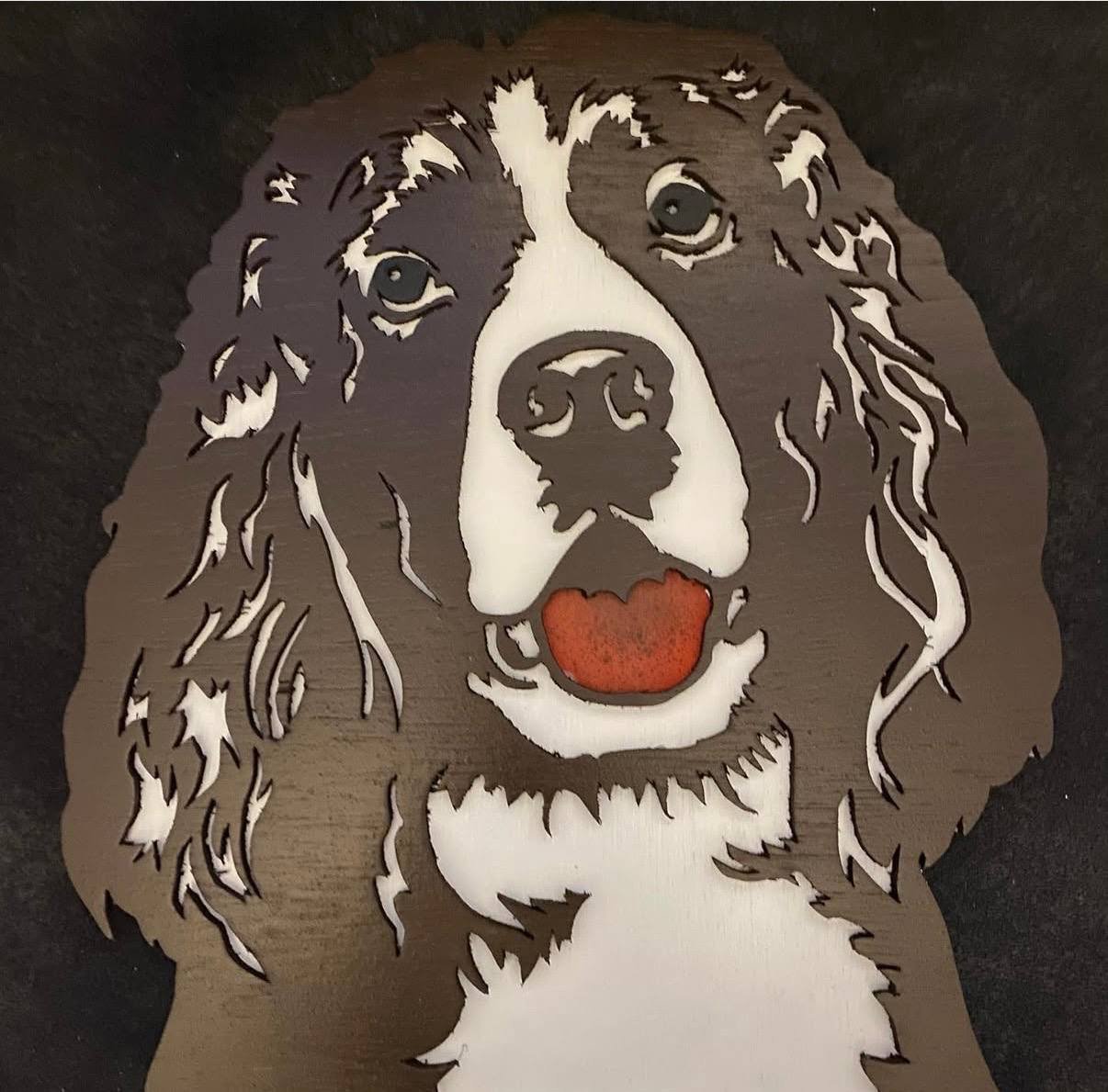 Springer Spaniel Portrait